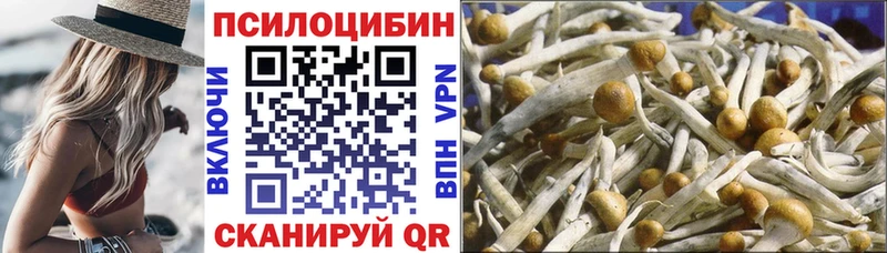 где купить наркоту  Усть-Лабинск  Псилоцибиновые грибы Magic Shrooms 